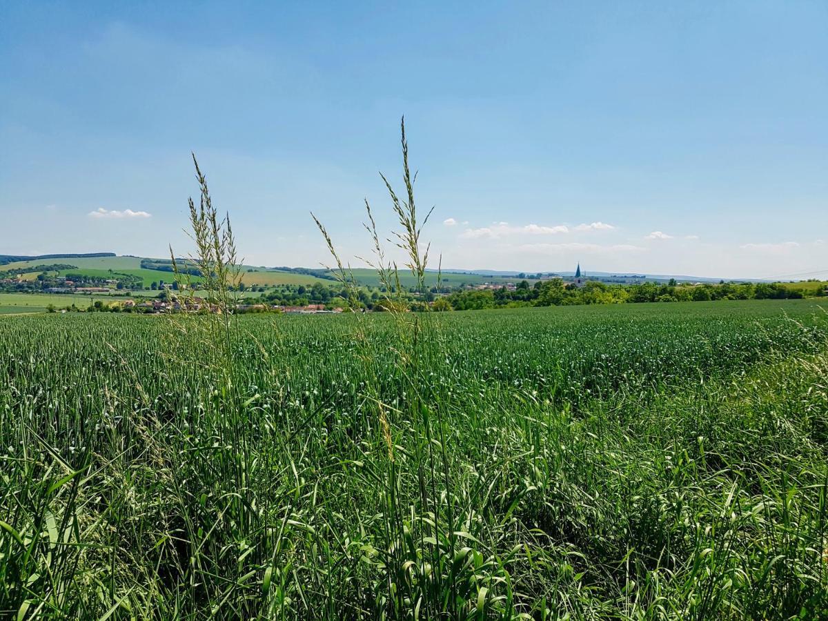 Ubytovani Ve Vinarstvi Medek | Medek House & Winery Uherské Hradiště 外观 照片