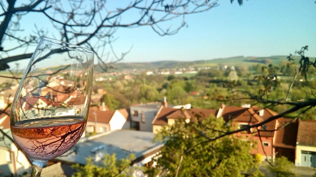 Ubytovani Ve Vinarstvi Medek | Medek House & Winery Uherské Hradiště 外观 照片