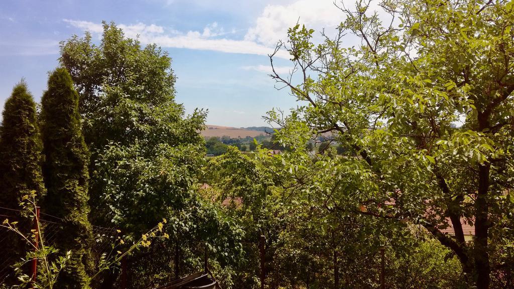 Ubytovani Ve Vinarstvi Medek | Medek House & Winery Uherské Hradiště 外观 照片
