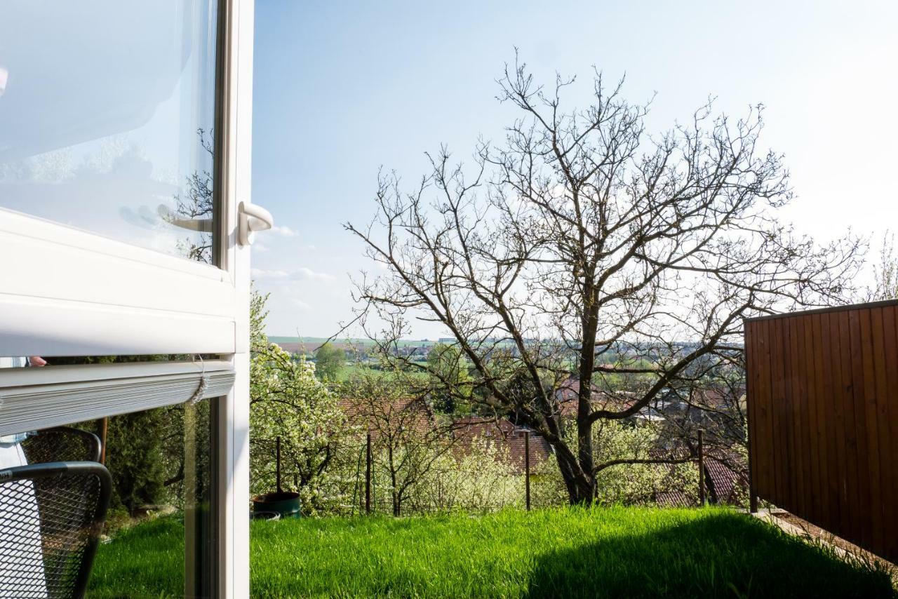 Ubytovani Ve Vinarstvi Medek | Medek House & Winery Uherské Hradiště 外观 照片