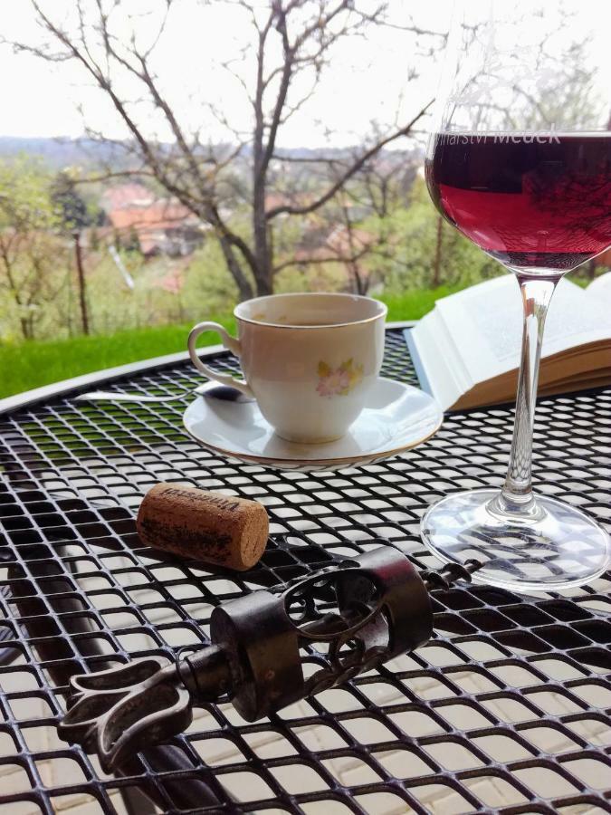 Ubytovani Ve Vinarstvi Medek | Medek House & Winery Uherské Hradiště 外观 照片